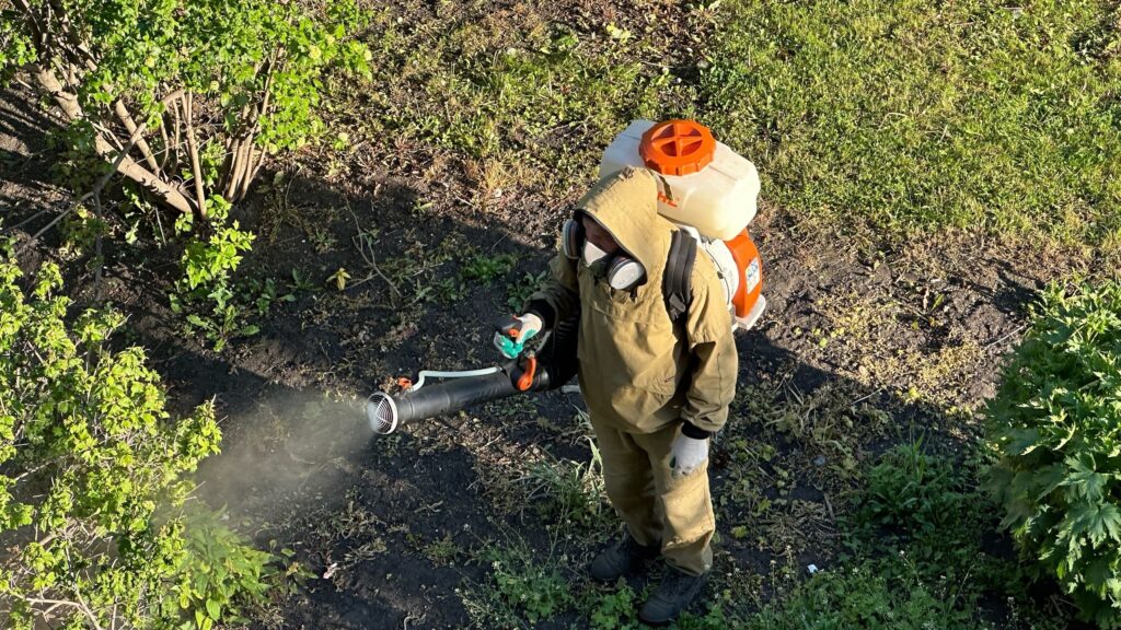 В Челябинске проведут обработку от клещей в шести районах