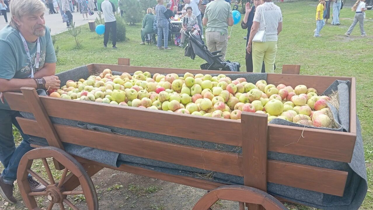 Семьи Челябинской области поделились фирменными рецептами лакомств из яблок