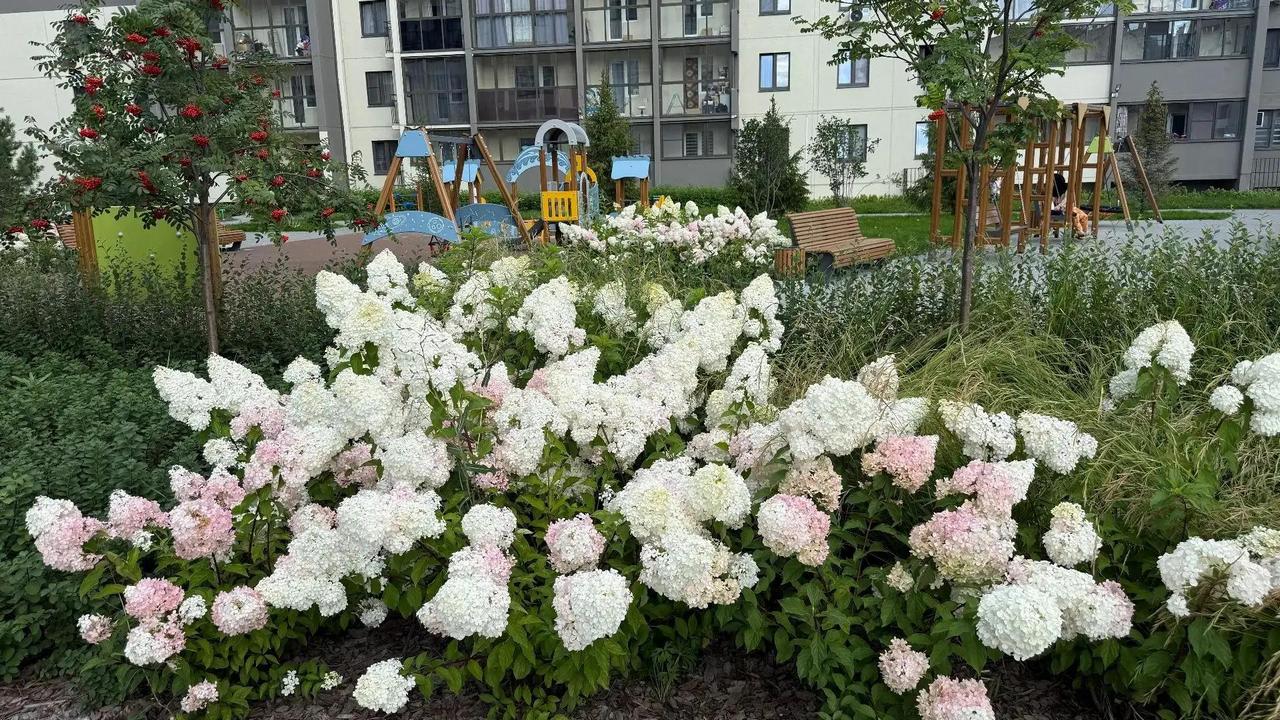 Самые благоустроенные и уютные дворы назвали в Челябинске Самые благоустроенные и уютные дворы назвали в Челябинске