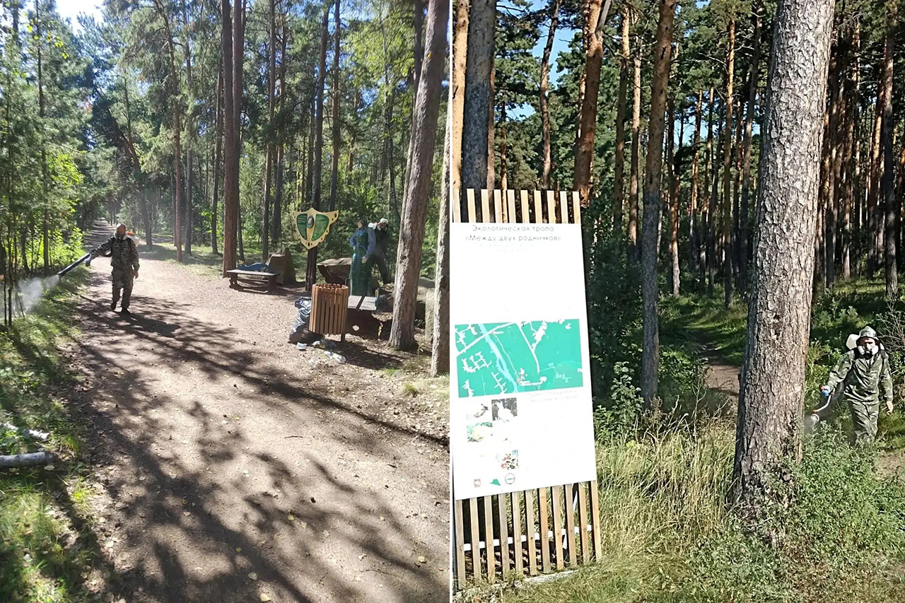 Экотропы в Челябинской области обрабатывают от клещей