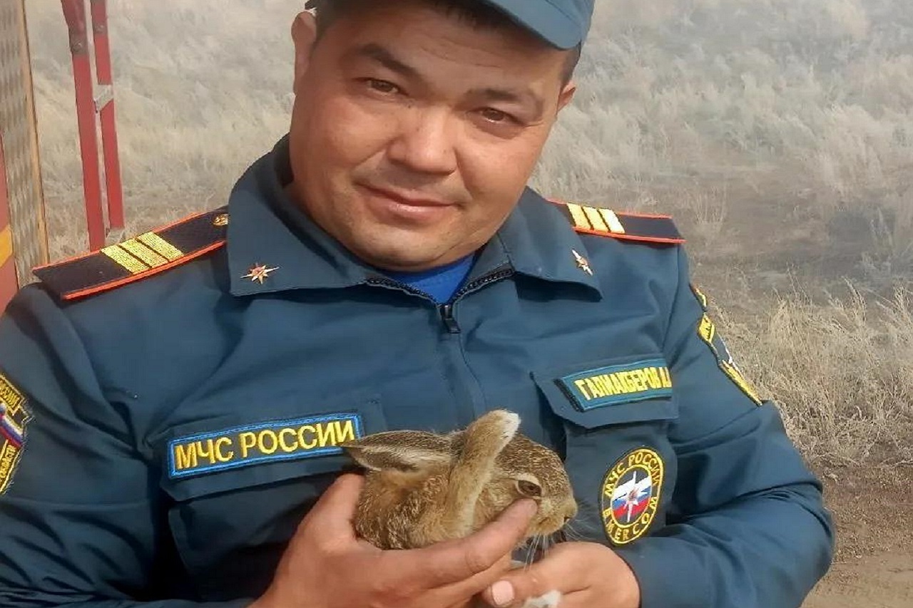 Пожарные в Челябинской области спасли зайца из горящего леса Пожарные в Челябинской области спасли зайца из горящего леса