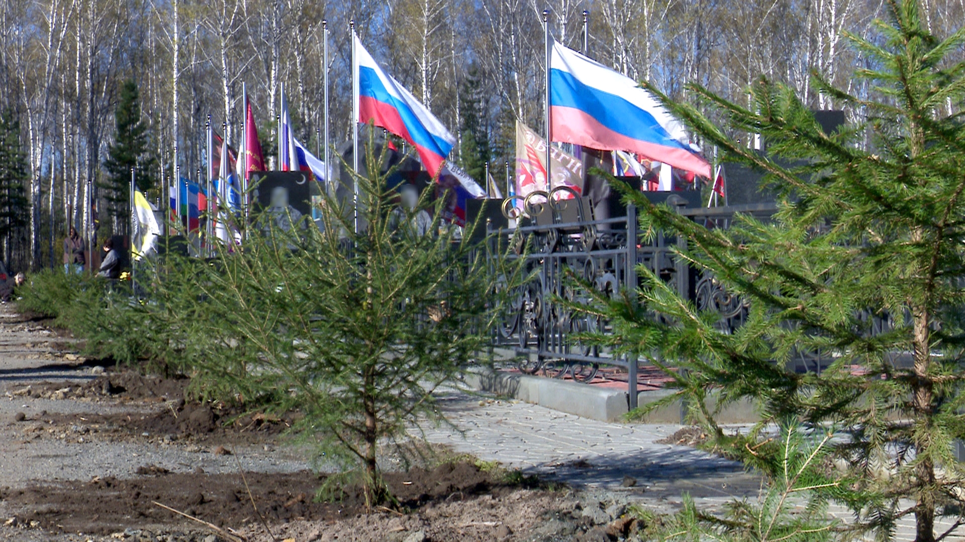 Под Челябинском высадили ели в память о героях СВО Под Челябинском высадили ели в память о героях СВО